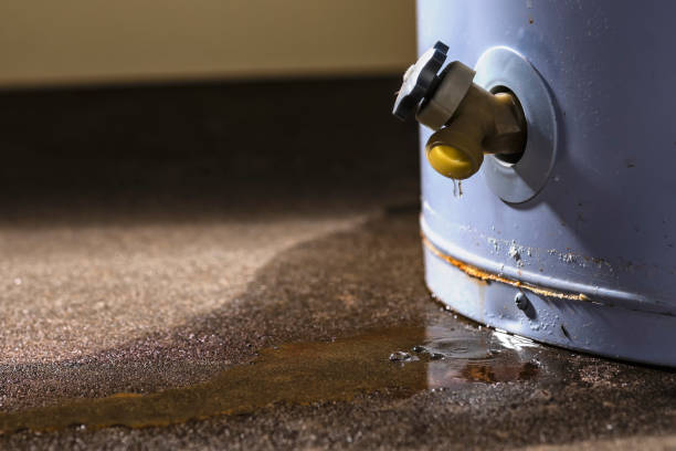 Best 24-hour water damage restoration  in Hebron Estates, KY