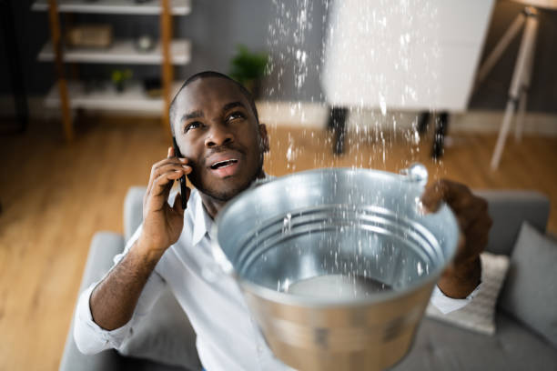 Best Water damage restoration services  in Hebron Estates, KY