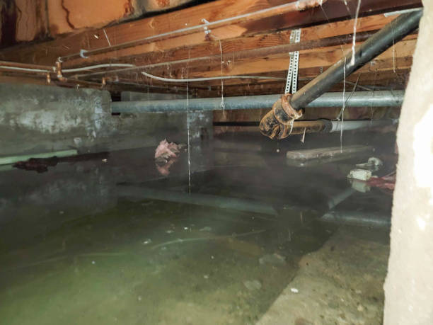 Best Carpet water damage restoration  in Hebron Estates, KY
