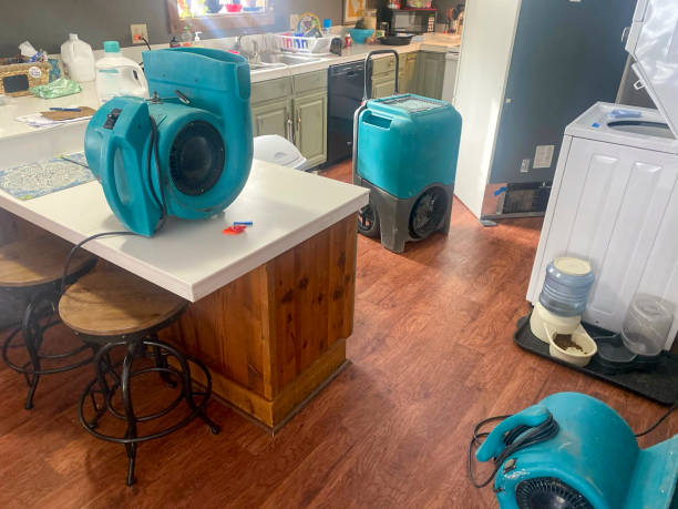 Best Residential water damage restoration  in Hebron Estates, KY