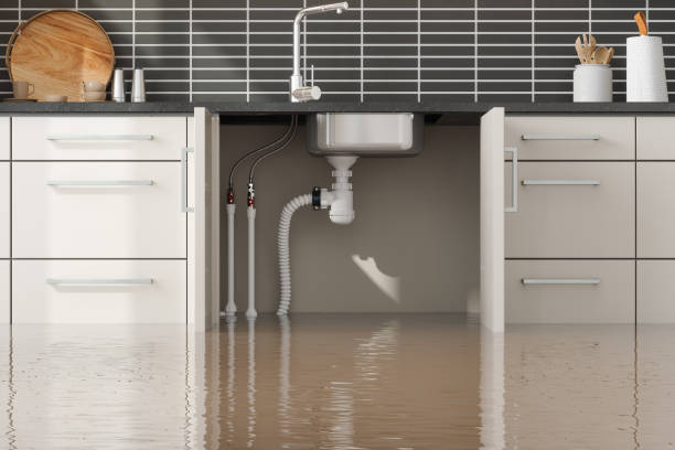 Best Local water damage restoration  in Hebron Estates, KY